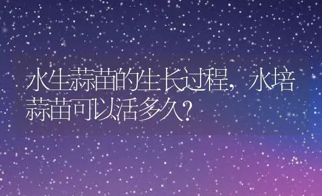 水生蒜苗的生长过程,水培蒜苗可以活多久？ | 养殖科普
