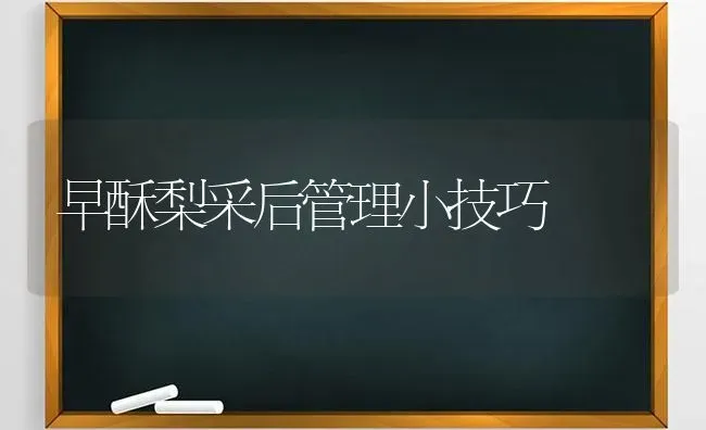 早酥梨采后管理小技巧 | 养殖技术大全