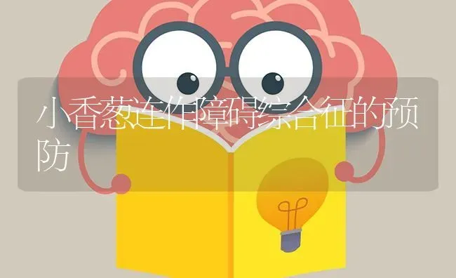 小香葱连作障碍综合征的预防 | 养殖技术大全
