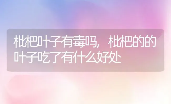 枇杷叶子有毒吗,枇杷的的叶子吃了有什么好处 | 养殖学堂