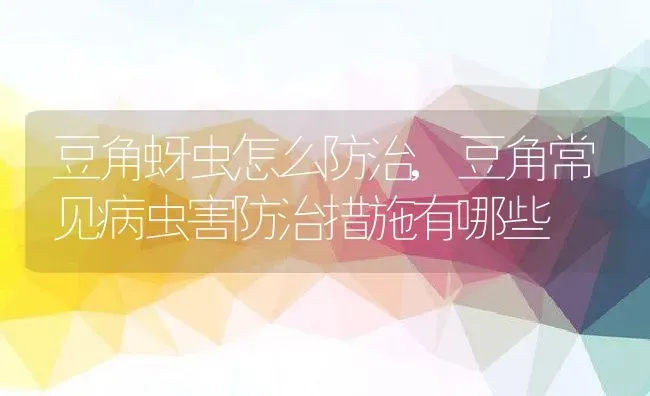 豆角蚜虫怎么防治,豆角常见病虫害防治措施有哪些 | 养殖学堂
