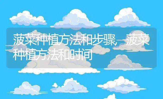 菠菜种植方法和步骤,菠菜种植方法和时间 | 养殖学堂