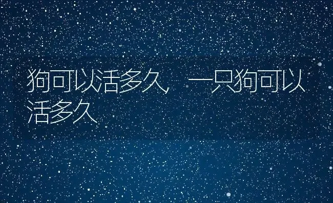 狗可以活多久,一只狗可以活多久 | 养殖科普