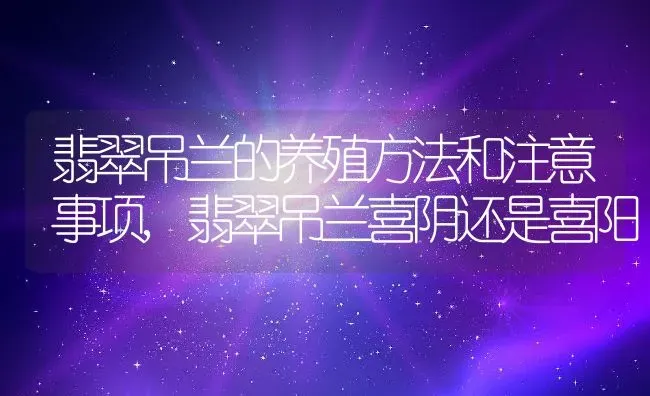 翡翠吊兰的养殖方法和注意事项,翡翠吊兰喜阴还是喜阳 | 养殖学堂