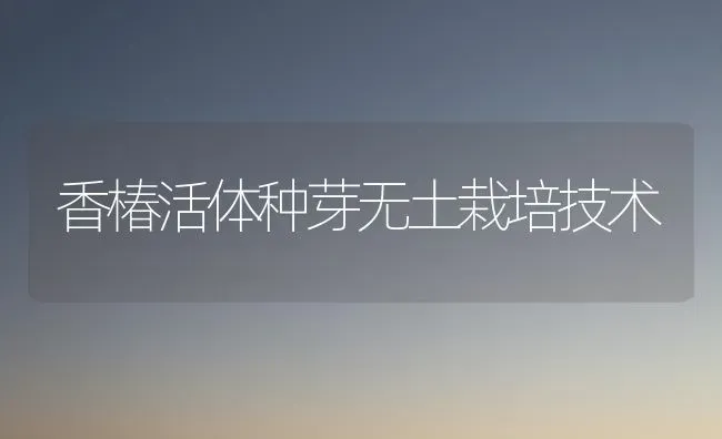 香椿活体种芽无土栽培技术 | 养殖技术大全