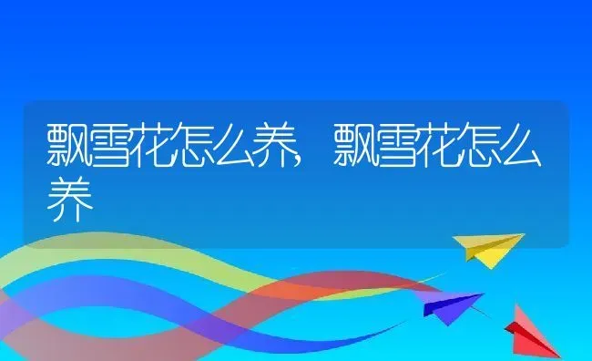 肉肉花怎么养,肉肉花怎么养 | 养殖科普