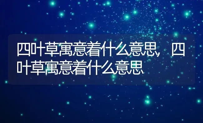 四叶草寓意着什么意思,四叶草寓意着什么意思 | 养殖科普