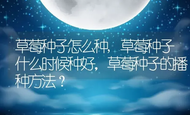 草莓种子怎么种,草莓种子什么时候种好，草莓种子的播种方法？ | 养殖科普
