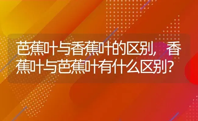 芭蕉叶与香蕉叶的区别,香蕉叶与芭蕉叶有什么区别？ | 养殖科普