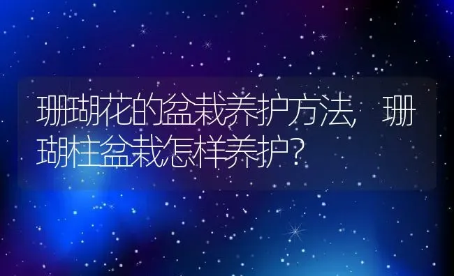 珊瑚花的盆栽养护方法,珊瑚柱盆栽怎样养护？ | 养殖科普