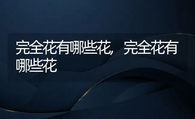 富贵竹能土养吗,竹子可以土养吗？ | 养殖科普