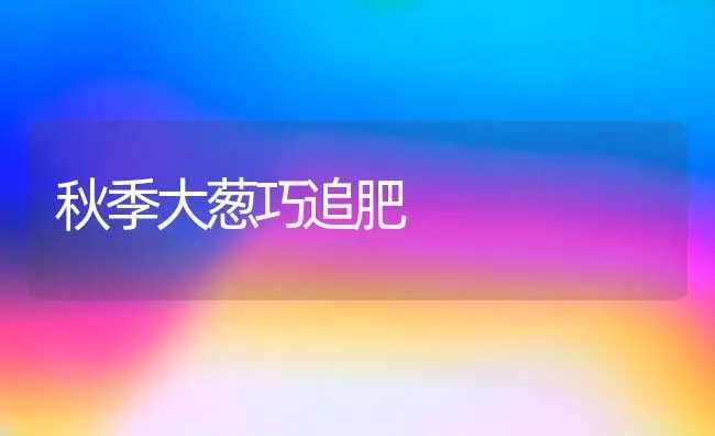 秋季大葱巧追肥 | 养殖技术大全