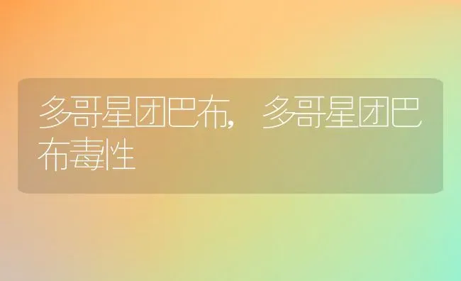 多哥星团巴布,多哥星团巴布毒性 | 养殖资料