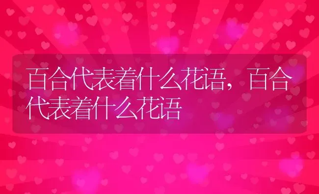 百合代表着什么花语,百合代表着什么花语 | 养殖科普