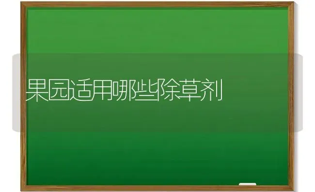 丝瓜内部为何发褐坏死 | 养殖技术大全