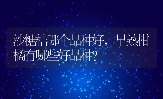 沙糖桔哪个品种好,早熟柑橘有哪些好品种？ | 养殖科普