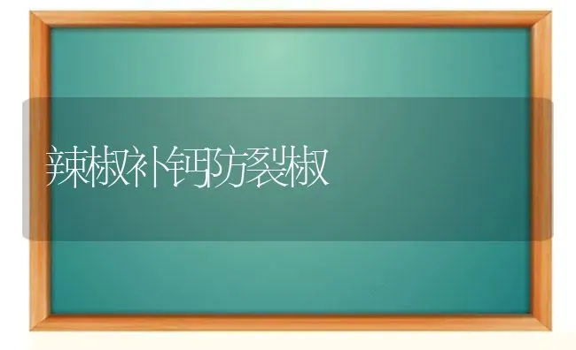 苗木休眠枝扦插技术要点 | 养殖技术大全