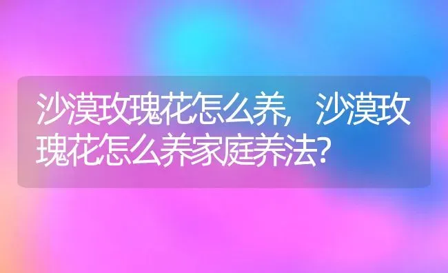 沙漠玫瑰花怎么养,沙漠玫瑰花怎么养家庭养法？ | 养殖学堂