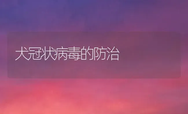 犬冠状病毒的防治 | 养殖技术大全