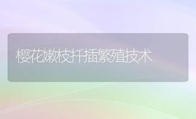 樱花嫩枝扦插繁殖技术 | 养殖技术大全