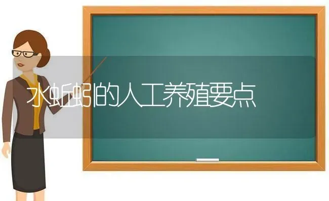 水蚯蚓的人工养殖要点 | 养殖技术大全