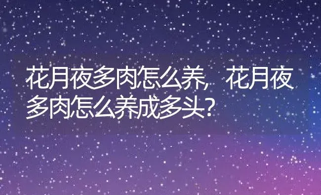 花月夜多肉怎么养,花月夜多肉怎么养成多头？ | 养殖科普