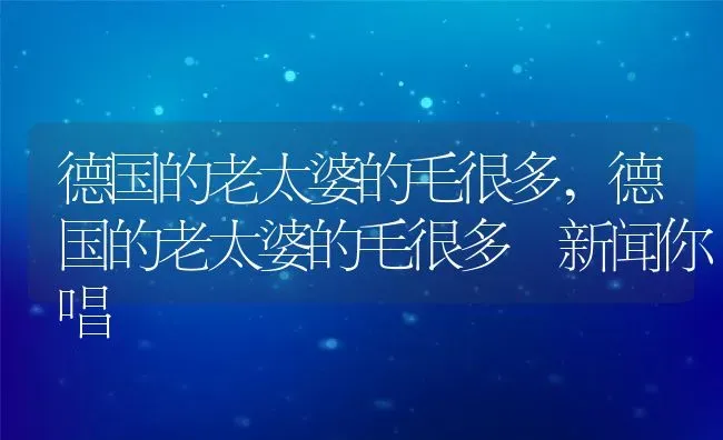 德国的老太婆的毛很多,德国的老太婆的毛很多 新闻你唱 | 养殖资料