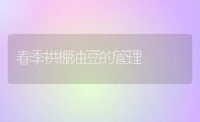 春季拱棚油豆的管理 | 养殖知识