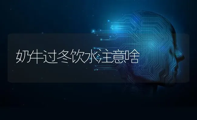 奶牛过冬饮水注意啥 | 养殖知识