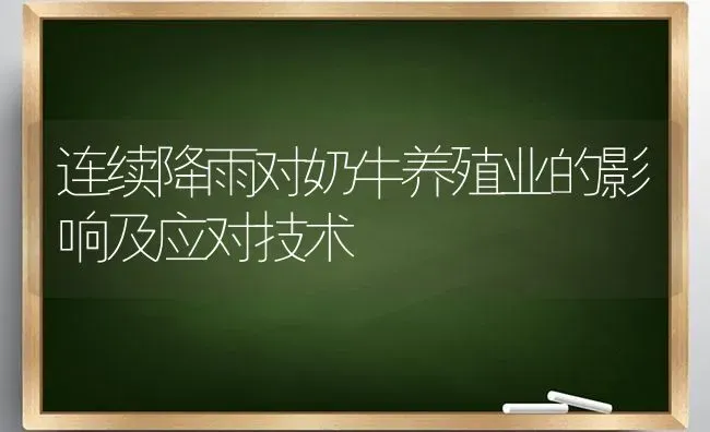 连续降雨对奶牛养殖业的影响及应对技术 | 养殖知识