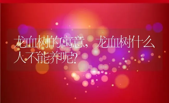 龙血树的寓意,龙血树什么人不能养呢？ | 养殖科普