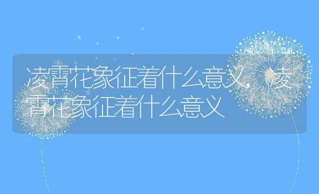 凌霄花象征着什么意义,凌霄花象征着什么意义 | 养殖科普