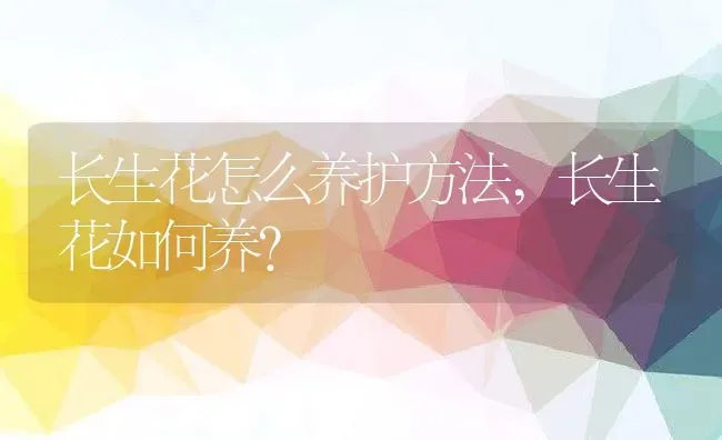 长生花怎么养护方法,长生花如何养？ | 养殖科普