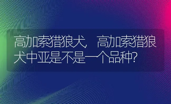 高加索猎狼犬,高加索猎狼犬中亚是不是一个品种? | 养殖资料