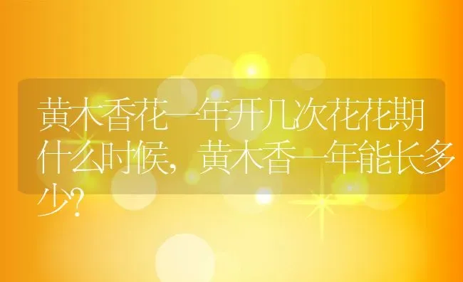 黄木香花一年开几次花花期什么时候,黄木香一年能长多少？ | 养殖科普