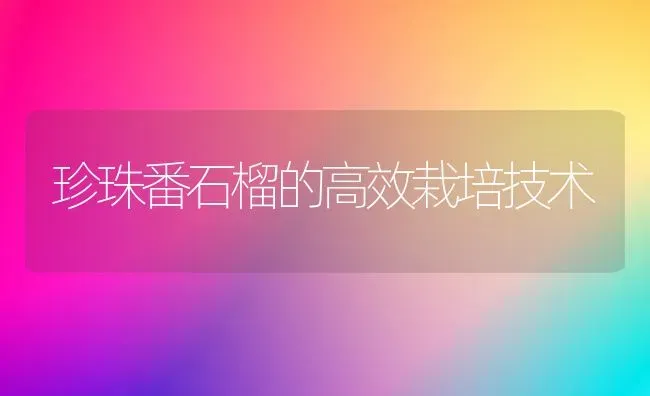 珍珠番石榴的高效栽培技术 | 养殖技术大全