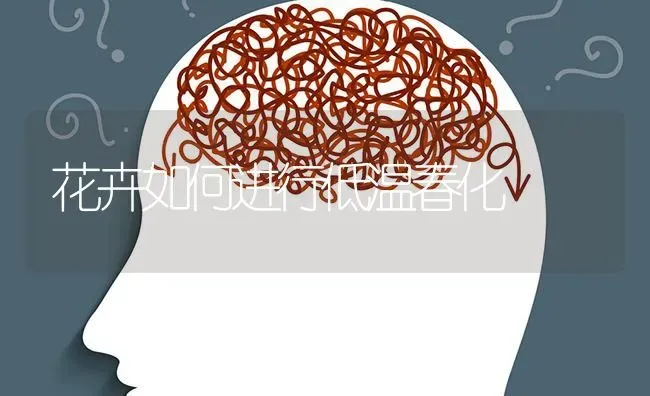 花卉如何进行低温春化 | 养殖知识