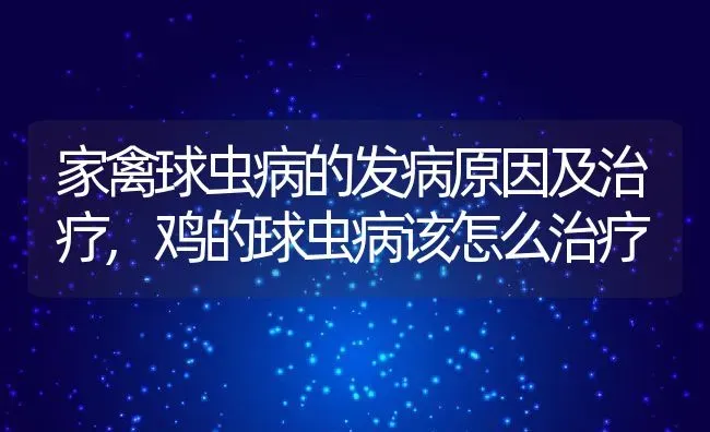 家禽球虫病的发病原因及治疗,鸡的球虫病该怎么治疗 | 养殖学堂