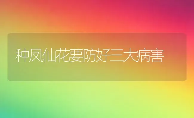 种凤仙花要防好三大病害 | 养殖技术大全
