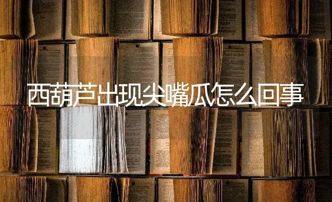 西葫芦出现尖嘴瓜怎么回事 | 养殖技术大全