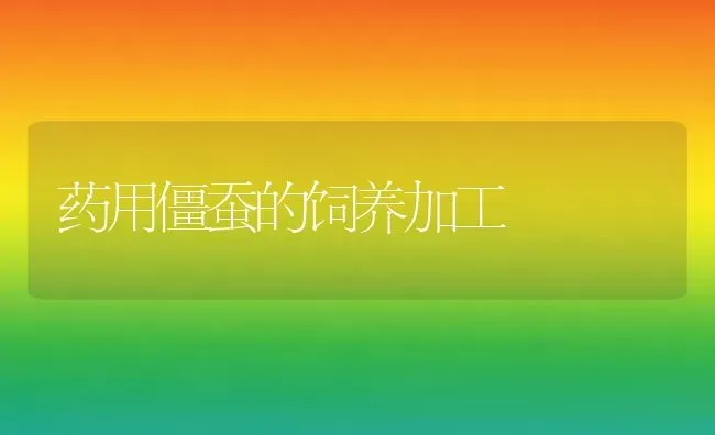 药用僵蚕的饲养加工 | 养殖知识