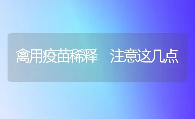 夏季如何养牛蛙 | 养殖技术大全