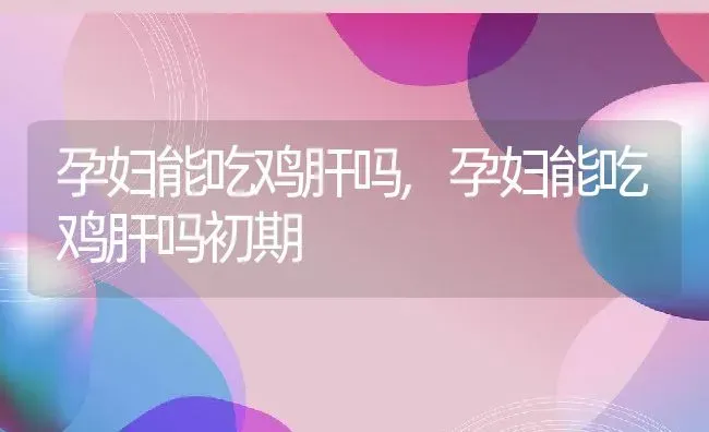 孕妇能吃鸡肝吗,孕妇能吃鸡肝吗初期 | 养殖资料