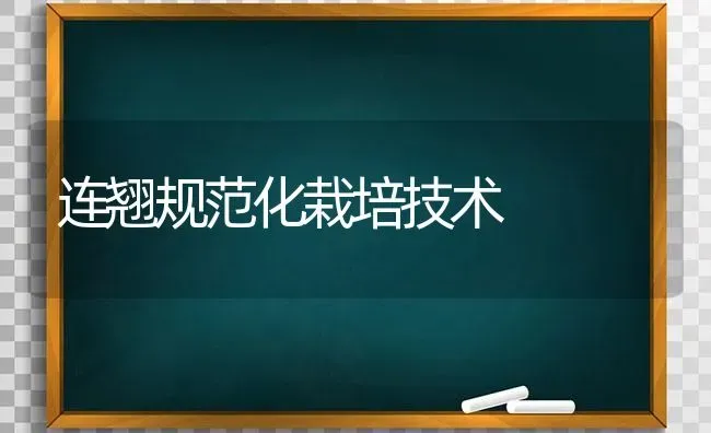 连翘规范化栽培技术 | 养殖技术大全