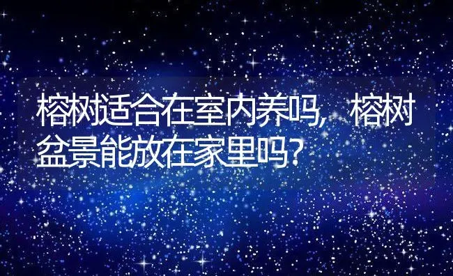 榕树适合在室内养吗,榕树盆景能放在家里吗？ | 养殖科普