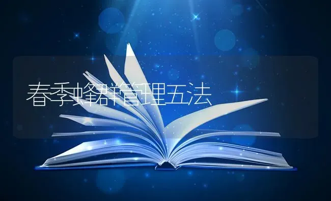 春季蜂群管理五法 | 养殖知识