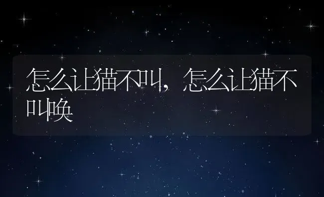 怎么让猫不叫,怎么让猫不叫唤 | 养殖资料