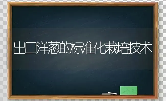 出口洋葱的标准化栽培技术 | 养殖技术大全