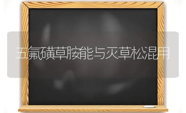 五氟磺草胺能与灭草松混用 | 养殖知识