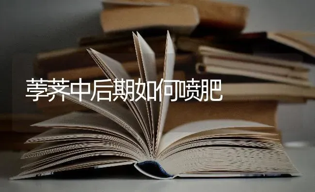 荸荠中后期如何喷肥 | 养殖技术大全